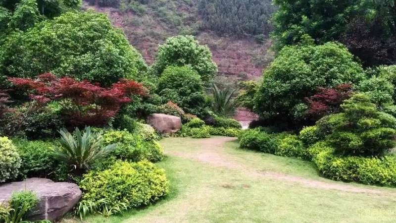 必一运动工程案例：庭院景观设计与植物层次搭配